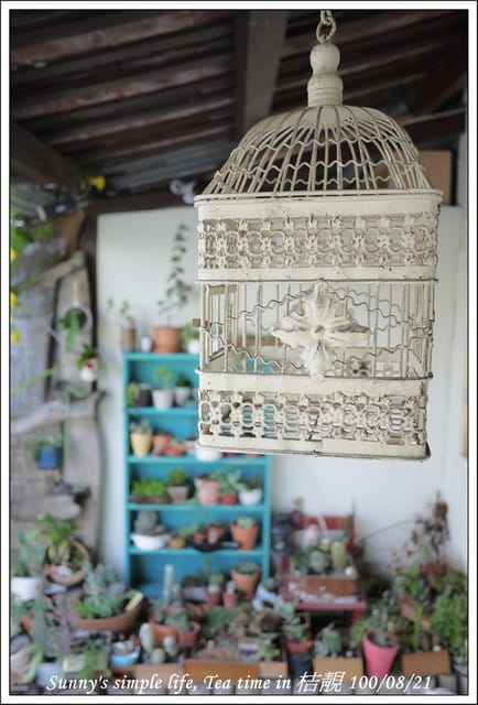 ▌下午茶時光．朴子の桔靚隨拍 ▌