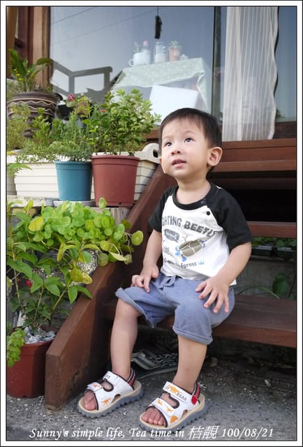 ▌下午茶時光．朴子の桔靚隨拍 ▌