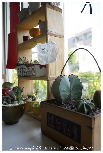 ▌下午茶時光．朴子の桔靚隨拍 ▌