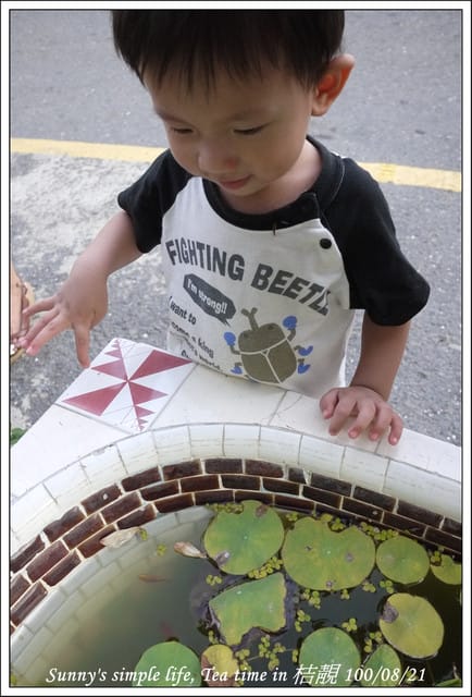 ▌下午茶時光．朴子の桔靚隨拍 ▌