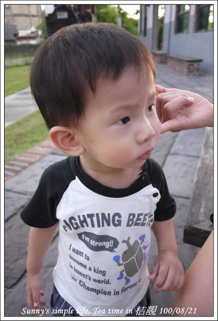 ▌下午茶時光．朴子の桔靚隨拍 ▌