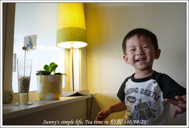 ▌下午茶時光．朴子の桔靚隨拍 ▌