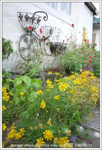 ▌下午茶時光．朴子の桔靚隨拍 ▌