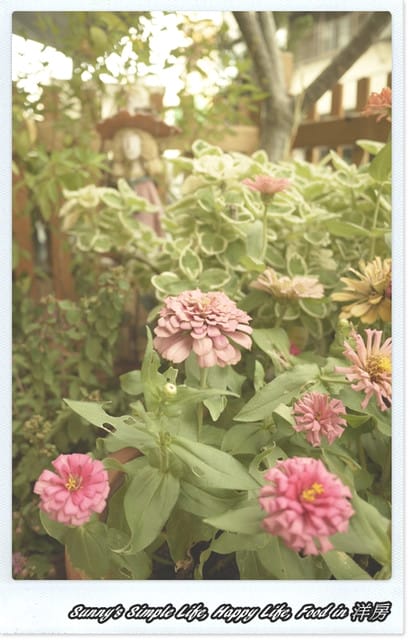 ▌Hold不住的私房最愛家廚．北港洋房食記 ▌