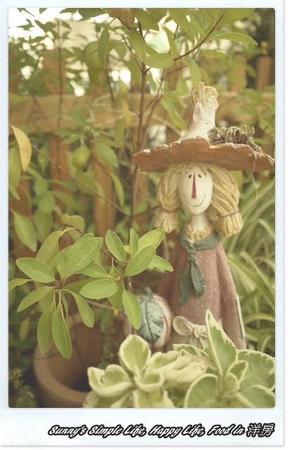 ▌Hold不住的私房最愛家廚．北港洋房食記 ▌