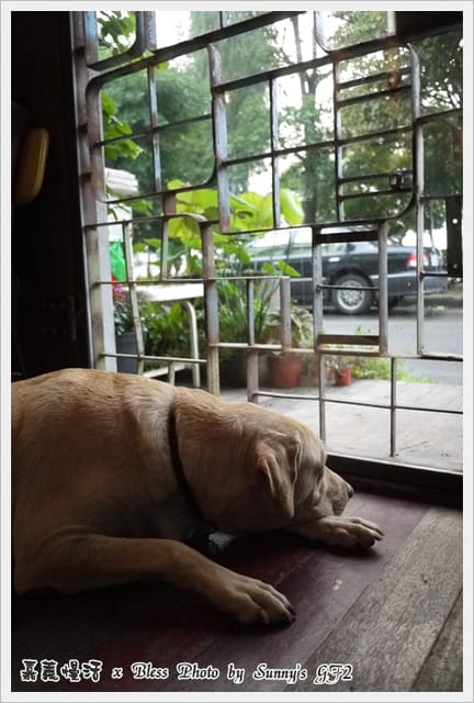 ▌嘉義．城市慢活系の掉進Bless的下午茶慢時空 ▌