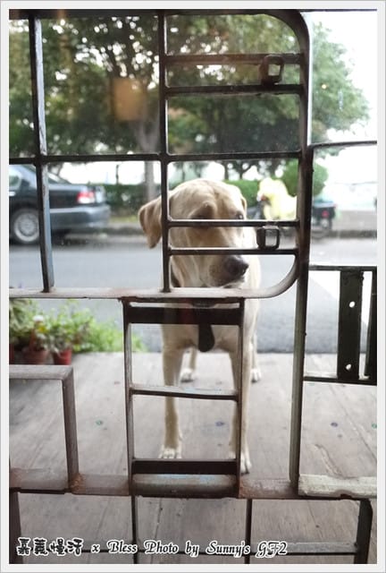 ▌嘉義．城市慢活系の掉進Bless的下午茶慢時空 ▌