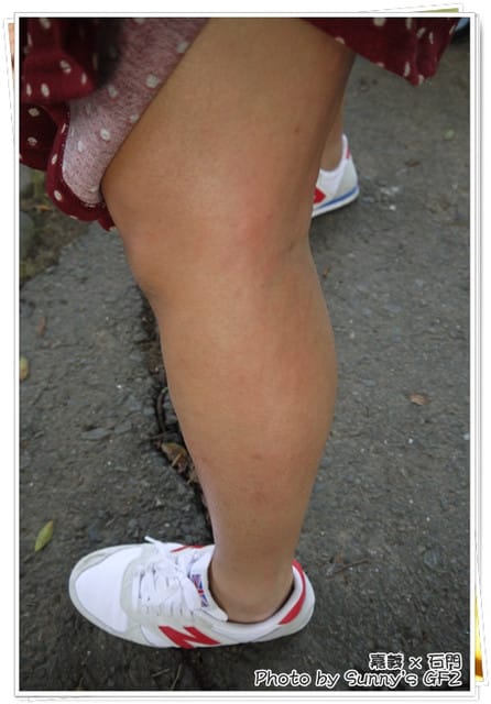 ▌嘉義．石門咖啡／十年以上老朋友聚會 ▌