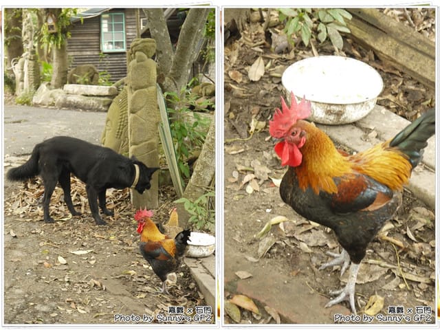 ▌嘉義．石門咖啡／十年以上老朋友聚會 ▌