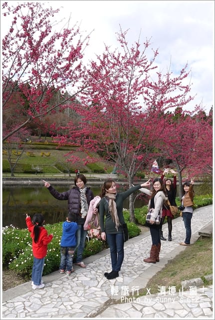▌南投．小瑞士花園．櫻花番外篇 ▌