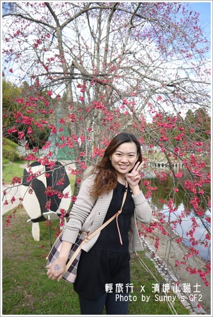 ▌南投．小瑞士花園．櫻花番外篇 ▌