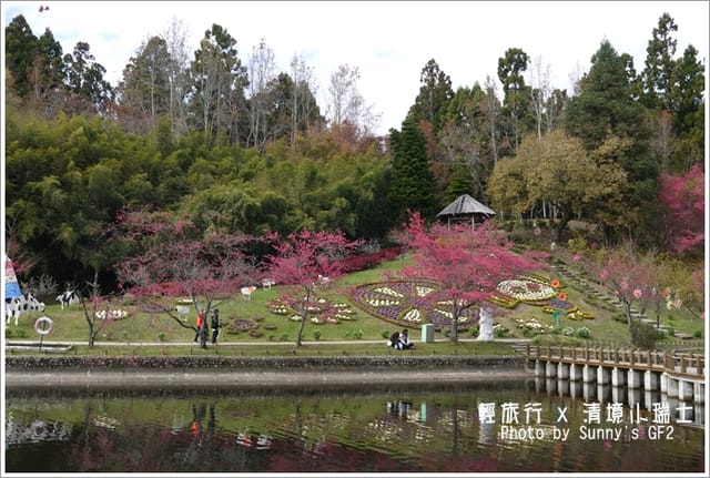 ▌南投．小瑞士花園．櫻花番外篇 ▌