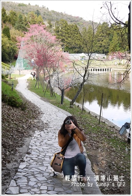 ▌南投．小瑞士花園．櫻花番外篇 ▌