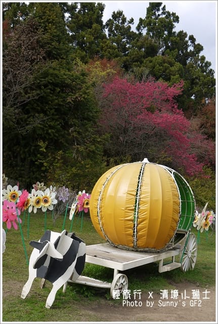 ▌南投．小瑞士花園．櫻花番外篇 ▌