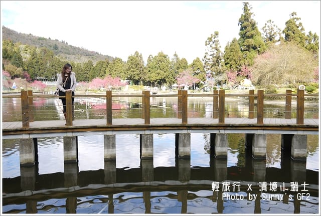 ▌南投．小瑞士花園．櫻花番外篇 ▌