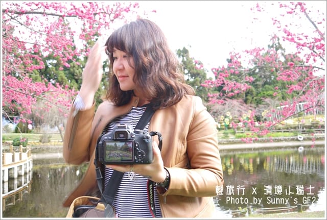 ▌南投．小瑞士花園．櫻花番外篇 ▌