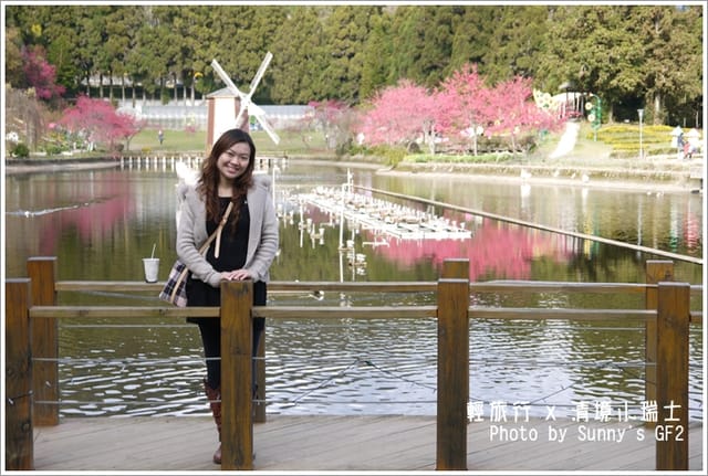 ▌南投．小瑞士花園．櫻花番外篇 ▌