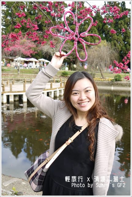 ▌南投．小瑞士花園．櫻花番外篇 ▌