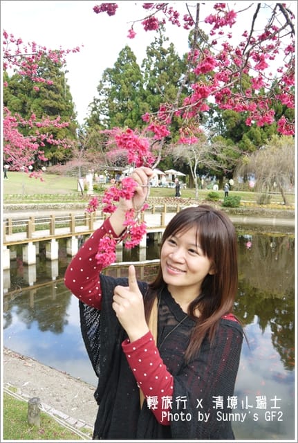 ▌南投．小瑞士花園．櫻花番外篇 ▌