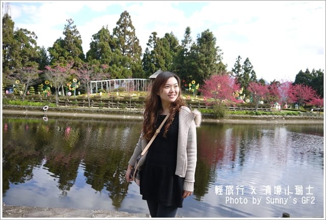 ▌南投．小瑞士花園．櫻花番外篇 ▌