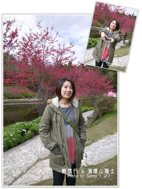 ▌南投．小瑞士花園．櫻花番外篇 ▌