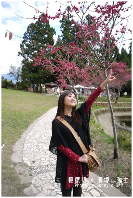▌南投．小瑞士花園．櫻花番外篇 ▌