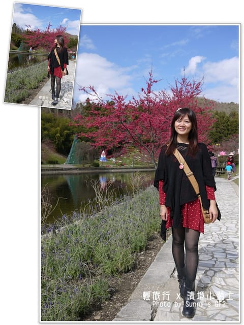 ▌南投．小瑞士花園．櫻花番外篇 ▌