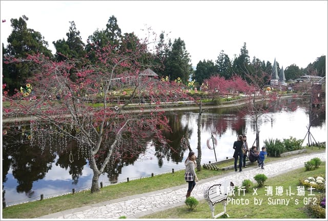 ▌南投．小瑞士花園．櫻花番外篇 ▌
