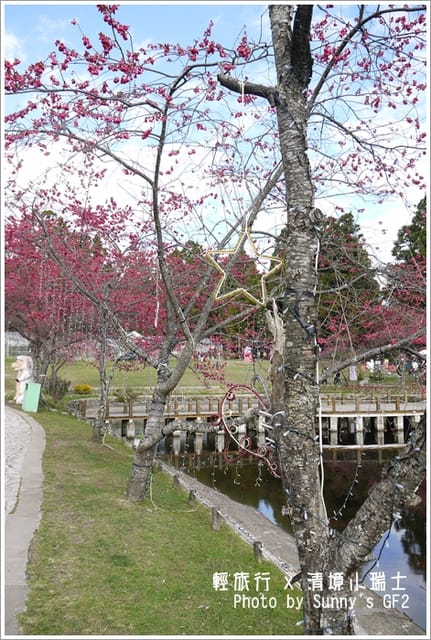 ▌南投．小瑞士花園．櫻花番外篇 ▌