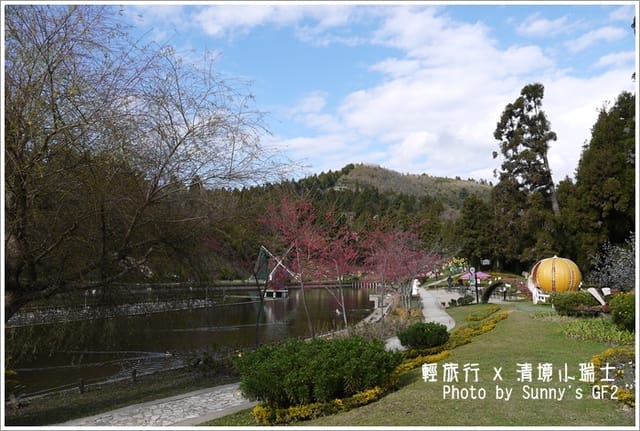 ▌南投．小瑞士花園．櫻花番外篇 ▌