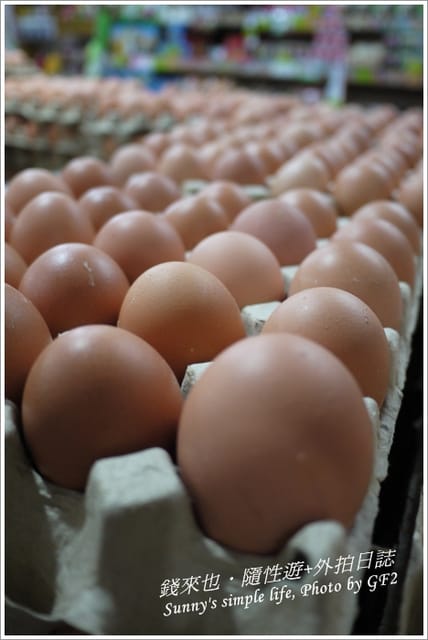 ▌台南．來去探訪《王子變青蛙》之也來錢?錢來也! ▌