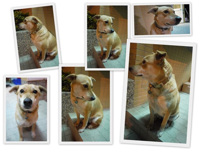 ▌101 ♥ 2月 生活札記．第一次與家輩出遊，成功! ▌