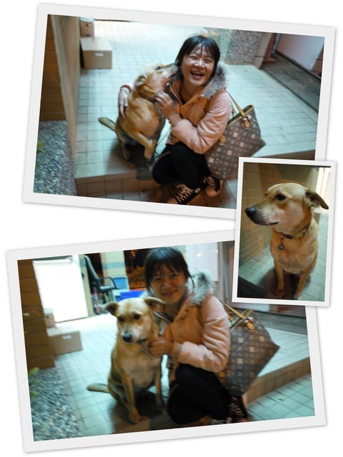 ▌101 ♥ 2月 生活札記．第一次與家輩出遊，成功! ▌