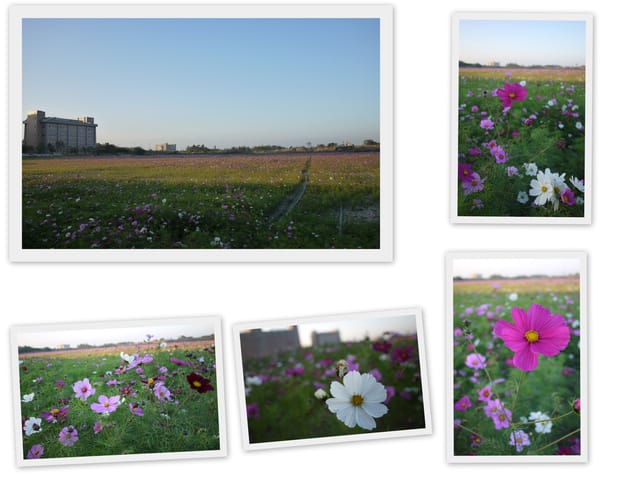 ▌101 ♥ 2月 生活札記．第一次與家輩出遊，成功! ▌