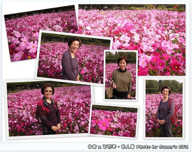 ▌季節限定．雲林/台南一日遊．台南百花季 ▌