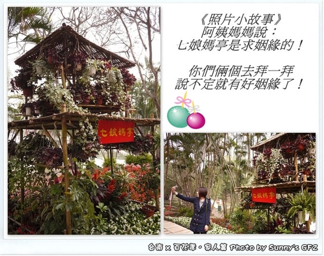 ▌季節限定．雲林/台南一日遊．台南百花季 ▌