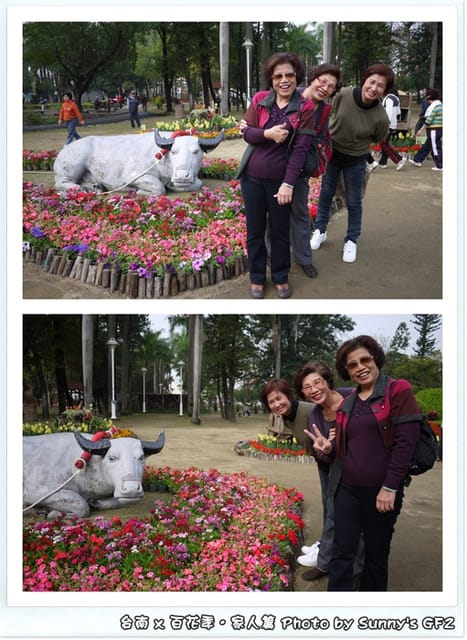 ▌季節限定．雲林/台南一日遊．台南百花季 ▌