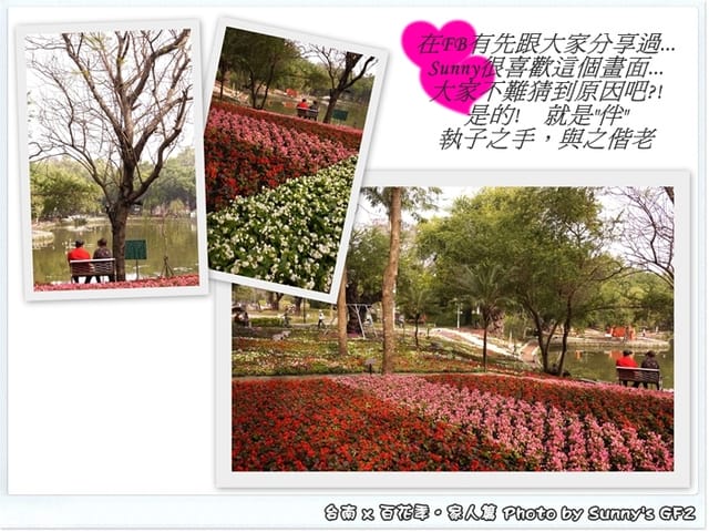 ▌季節限定．雲林/台南一日遊．台南百花季 ▌