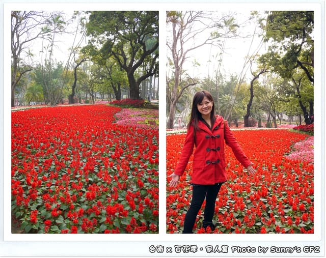 ▌季節限定．雲林/台南一日遊．台南百花季 ▌