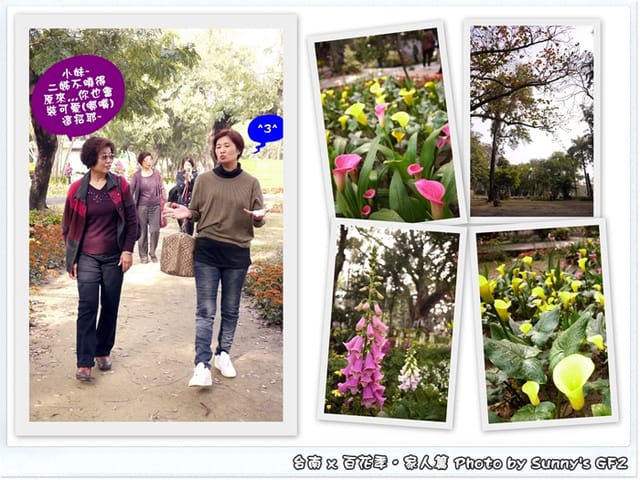 ▌季節限定．雲林/台南一日遊．台南百花季 ▌