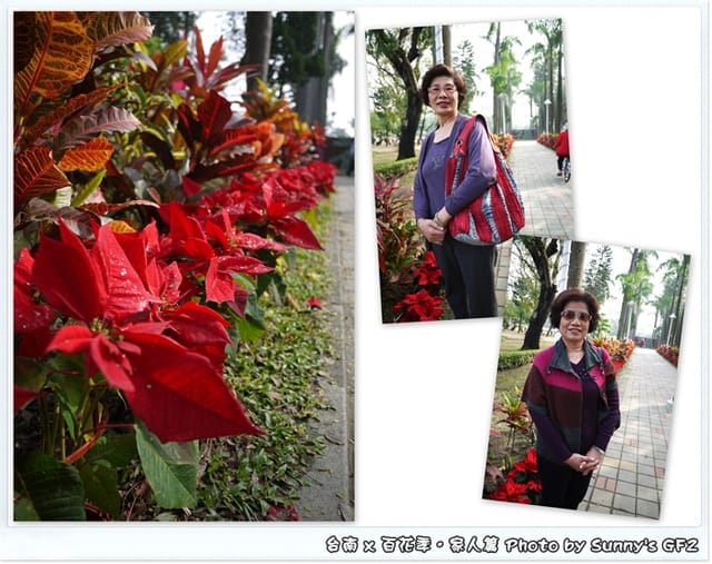 ▌季節限定．雲林/台南一日遊．台南百花季 ▌