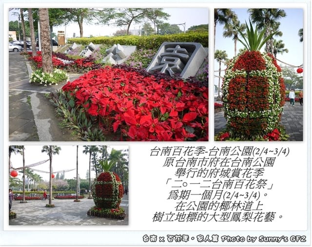 ▌季節限定．雲林/台南一日遊．台南百花季 ▌