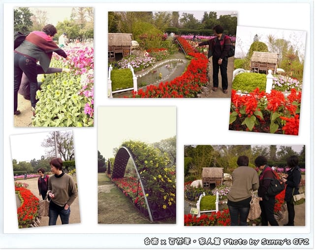 ▌季節限定．雲林/台南一日遊．台南百花季 ▌