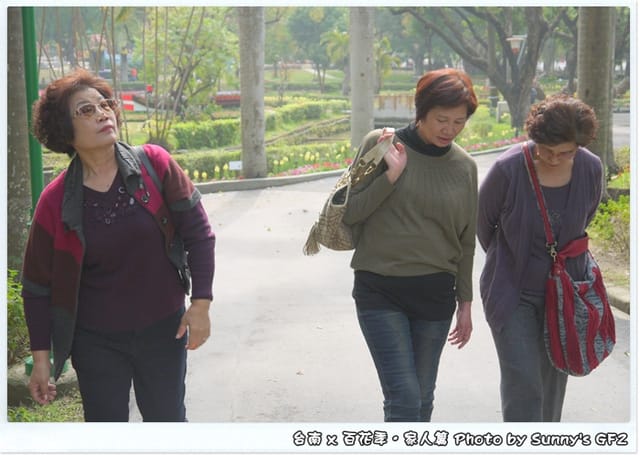 ▌季節限定．雲林/台南一日遊．台南百花季 ▌