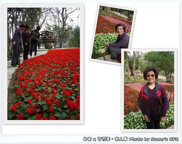 ▌季節限定．雲林/台南一日遊．台南百花季 ▌