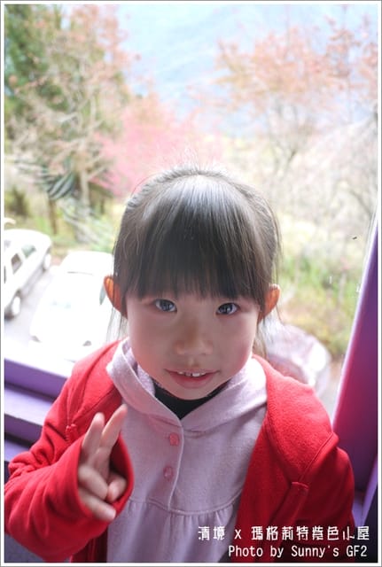 ▌南投．紫色浪漫滿屋❤瑪格麗特花園餐廳 ▌