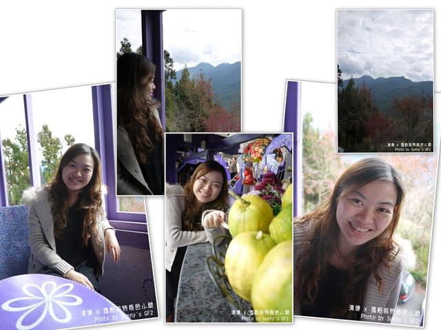 ▌南投．紫色浪漫滿屋❤瑪格麗特花園餐廳 ▌