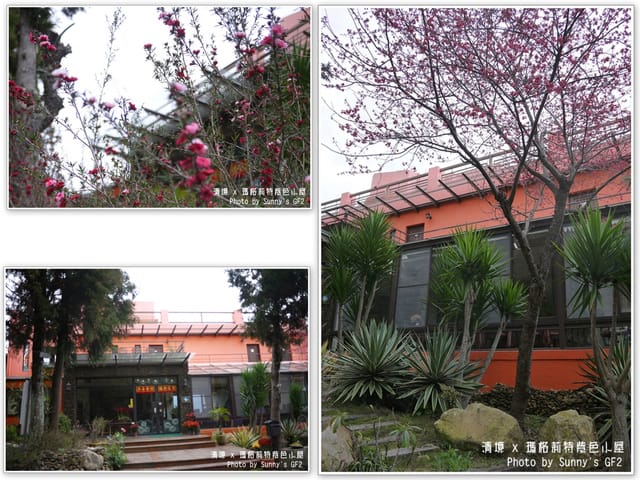 ▌南投．紫色浪漫滿屋❤瑪格麗特花園餐廳 ▌