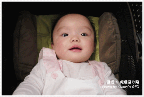 雲林．虎尾｜書香、茶香、咖啡香之虎尾厝沙龍(特色獨立書店)