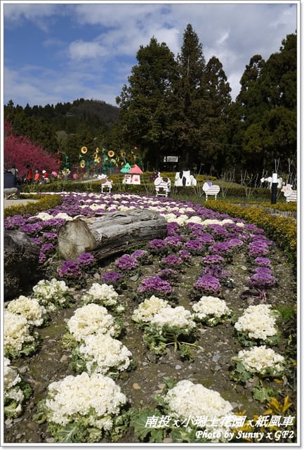 ▌南投．小瑞士花園❤紙箱王．上 ▌